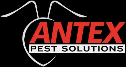 Antex Pest Solutions