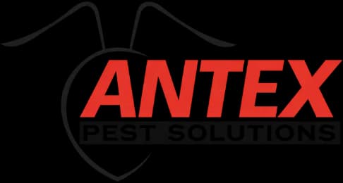 Antex Pest Solutions